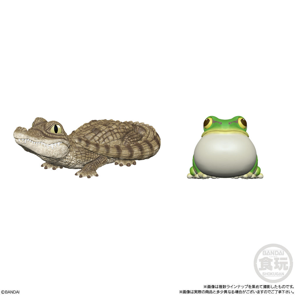 Bandai Bandai Tenori Friends 8: Reptiles + Amphibians