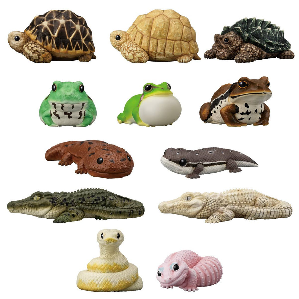 Bandai Tenori Friends 12 -Reptiles / Amphibians- [Individual Random]